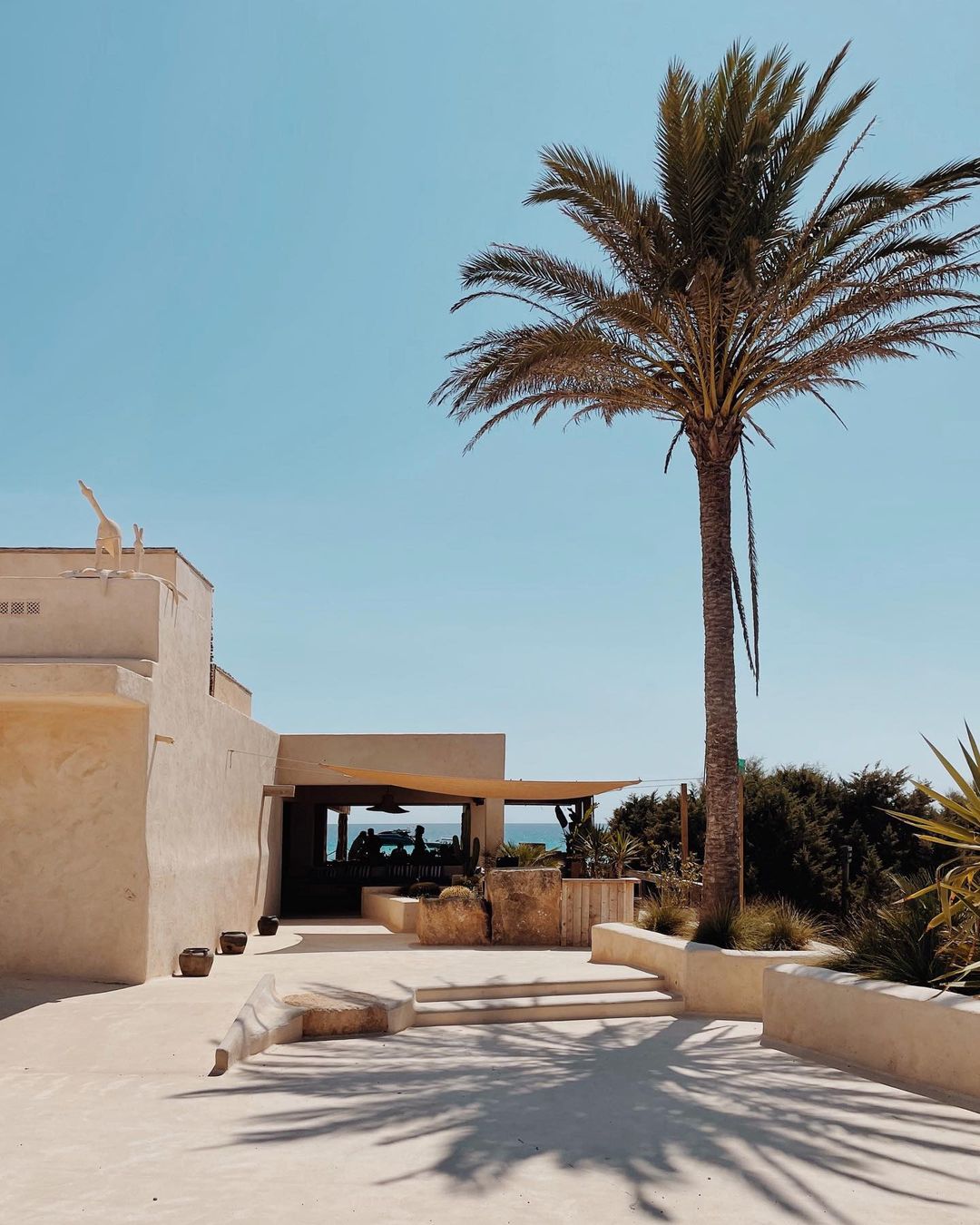 Casa Pacha