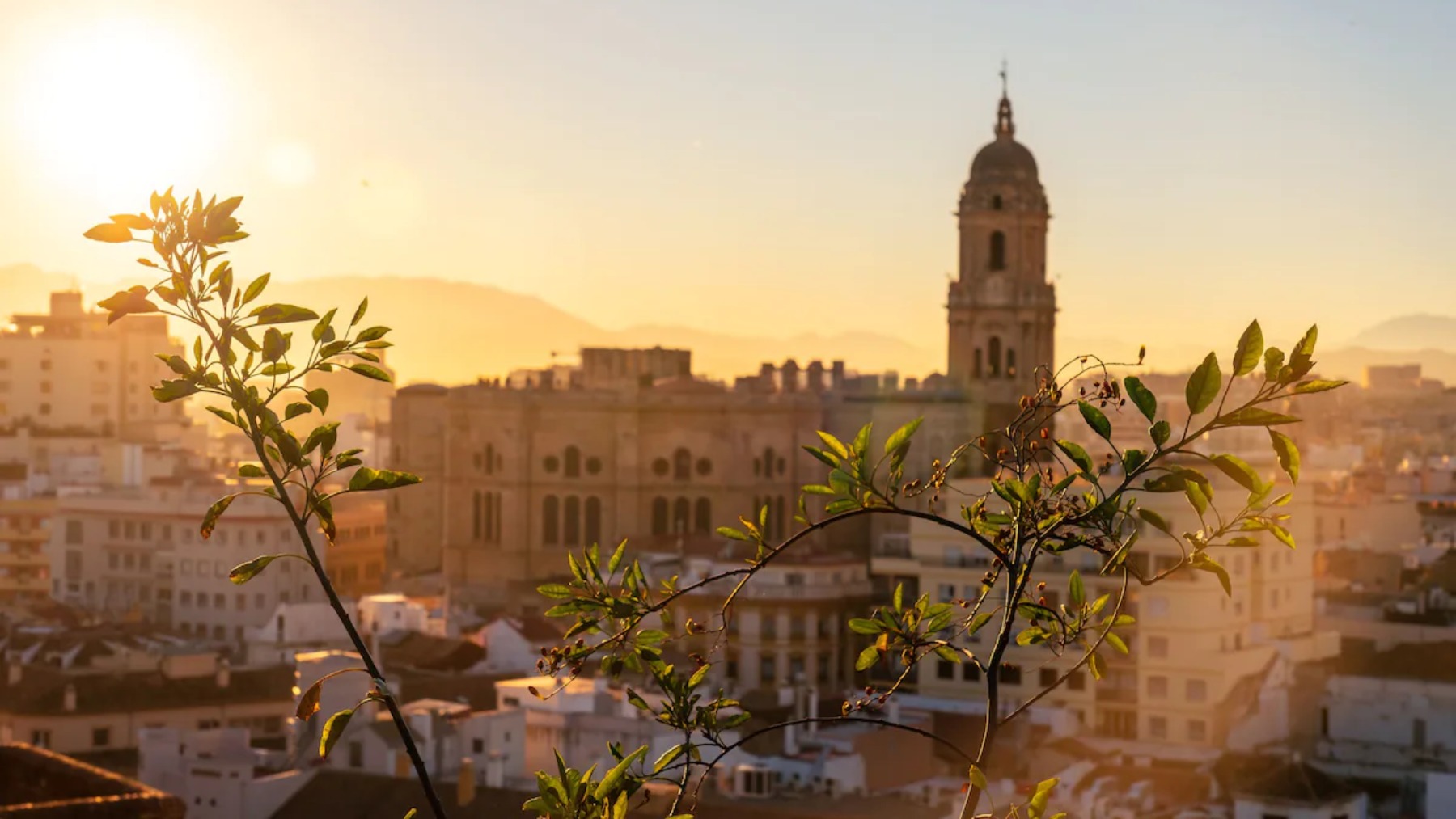 Málaga oto&ntilde;o