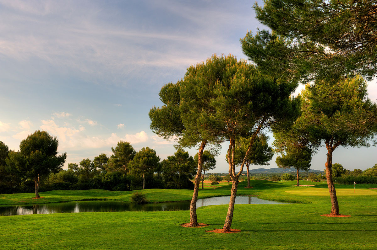 Campo de golf