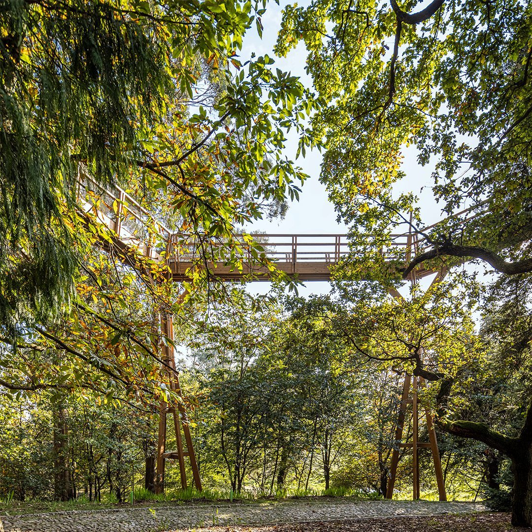 TreeTopWalk de la Fundaci&oacute;n Serralves