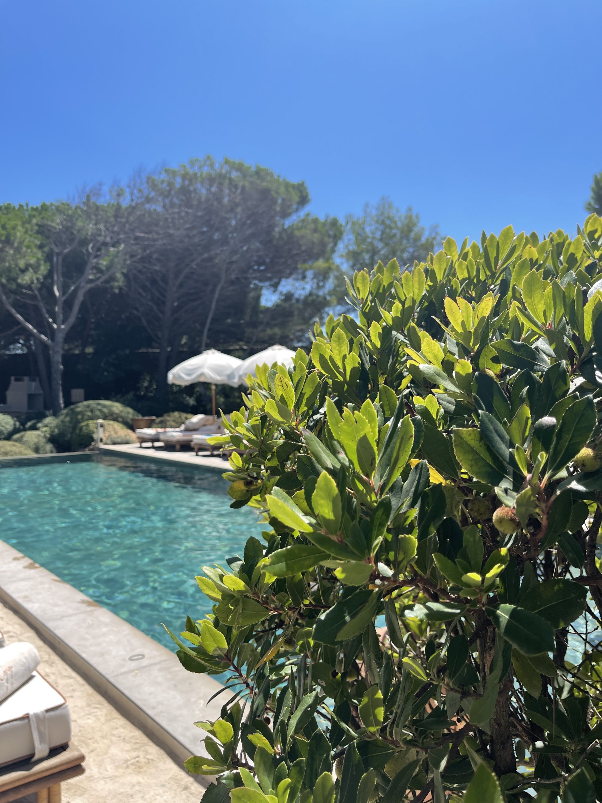 Saint Tropez