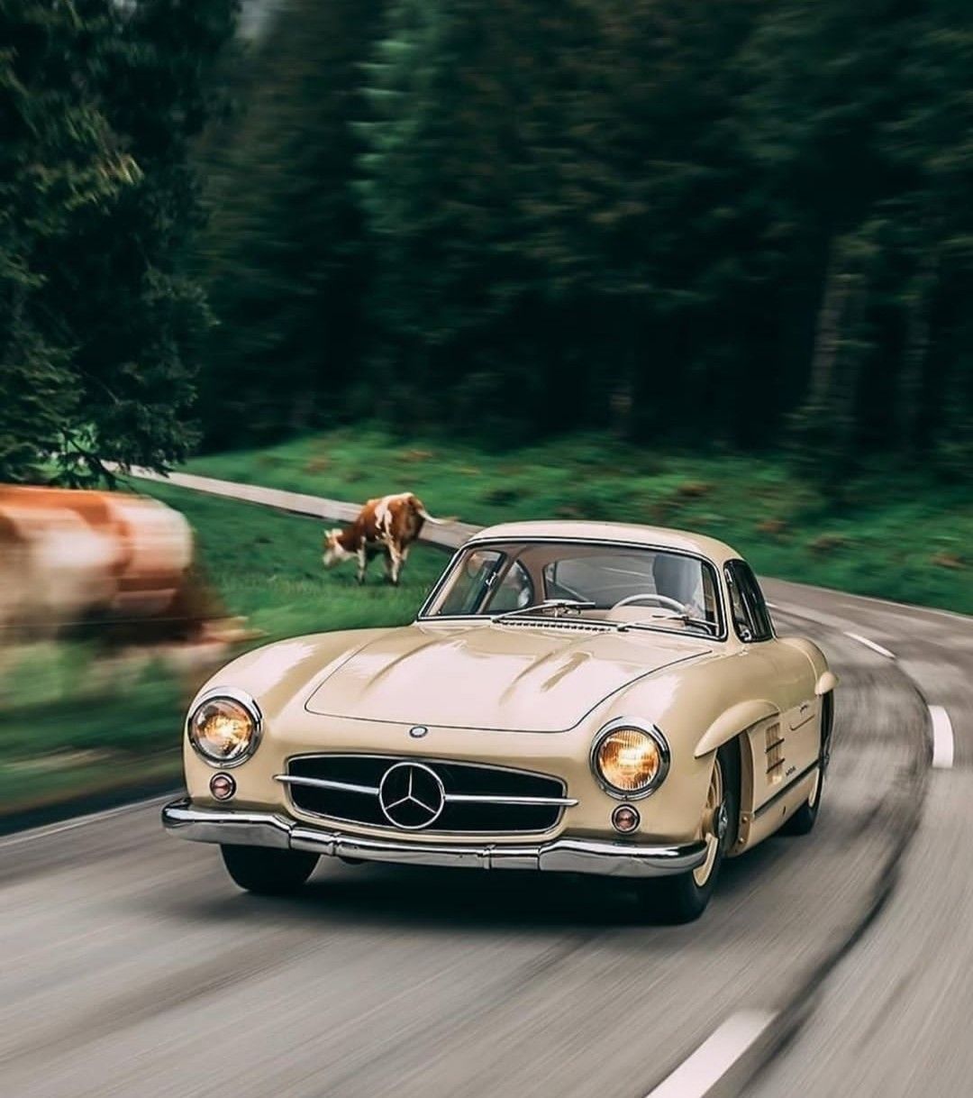 coches vintage