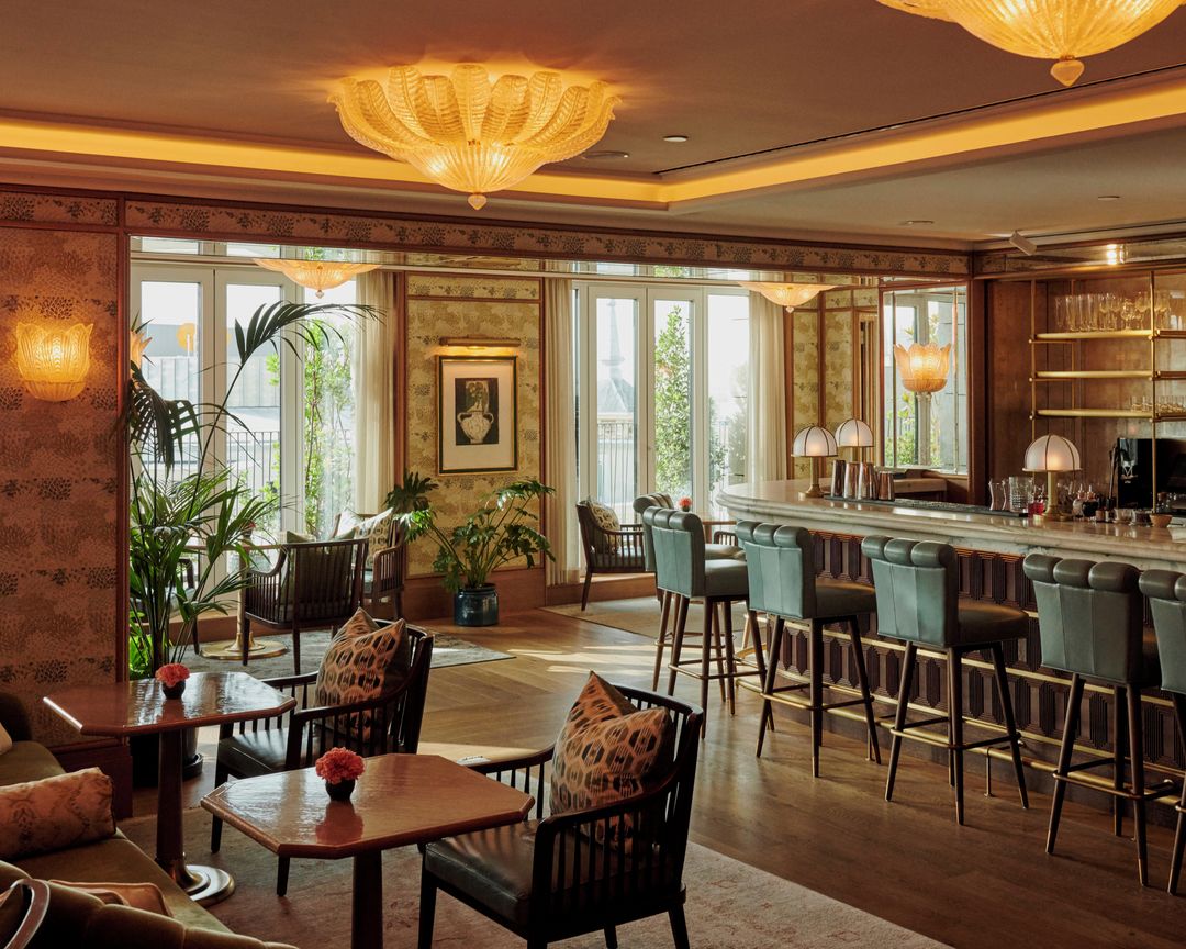 Dani Brasserie