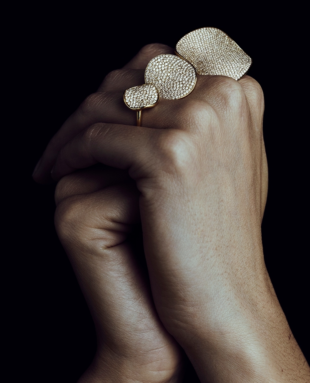 Ippolita