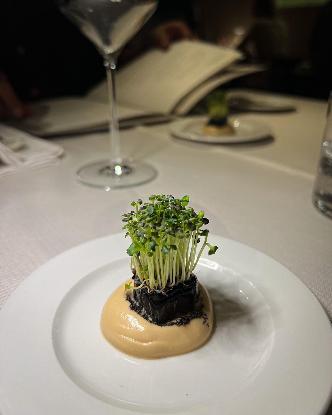 Restaurantes vegetarianos
