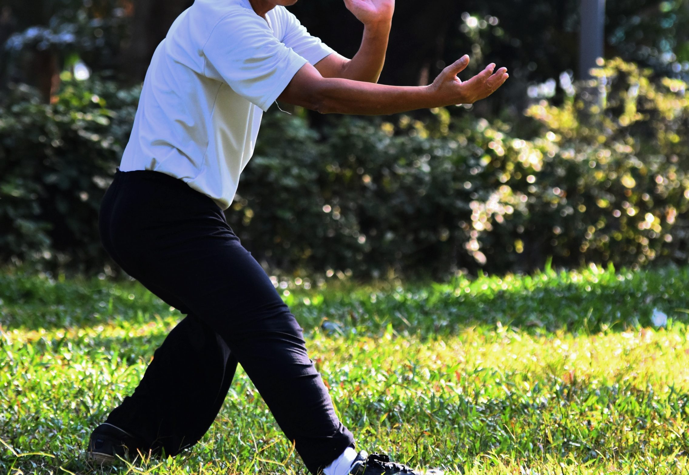 Deporte Taichi