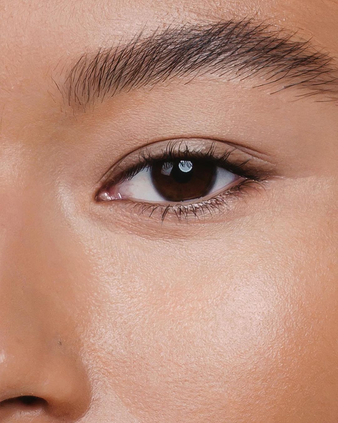 Antiojeras