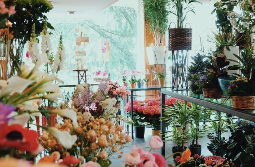 Florister&iacute;as 