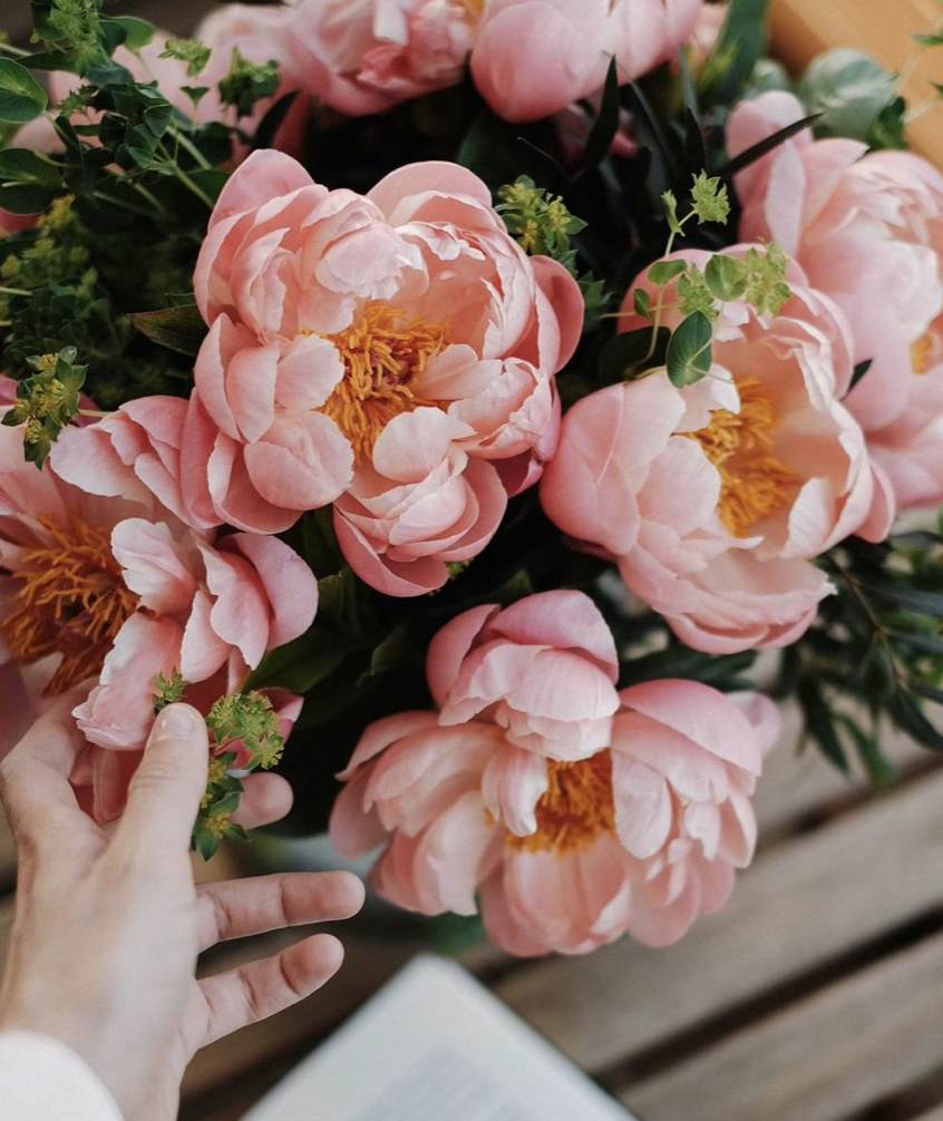 Florister&iacute;as 