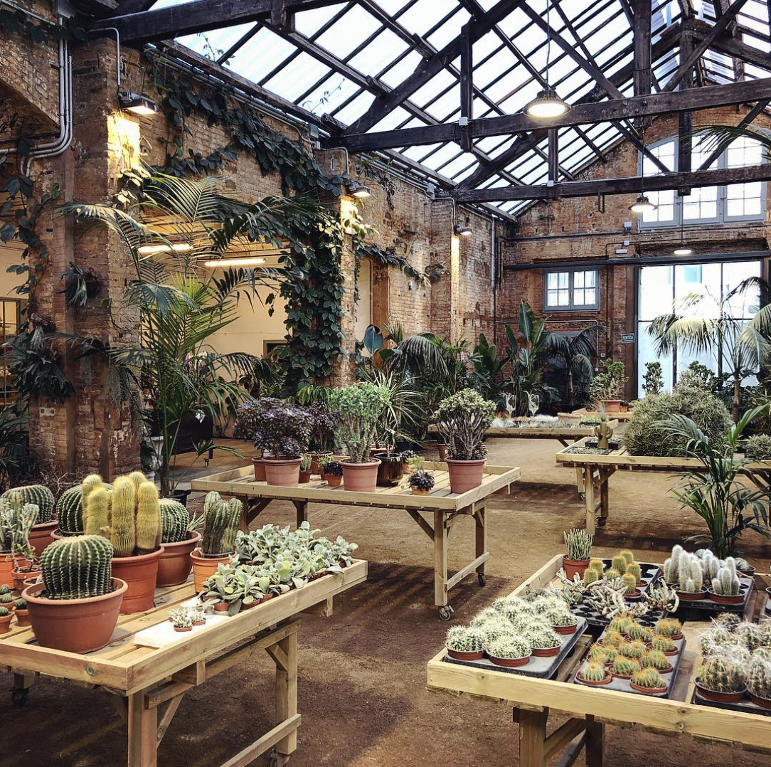 Florister&iacute;as 