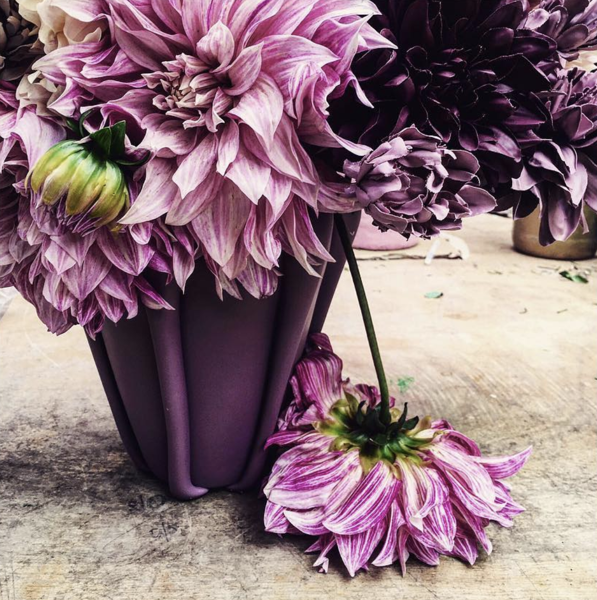 Florister&iacute;as 