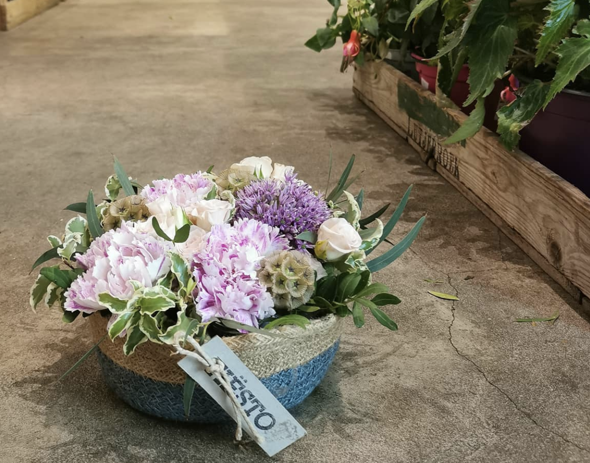 Florister&iacute;as 