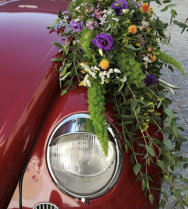 Florister&iacute;as 