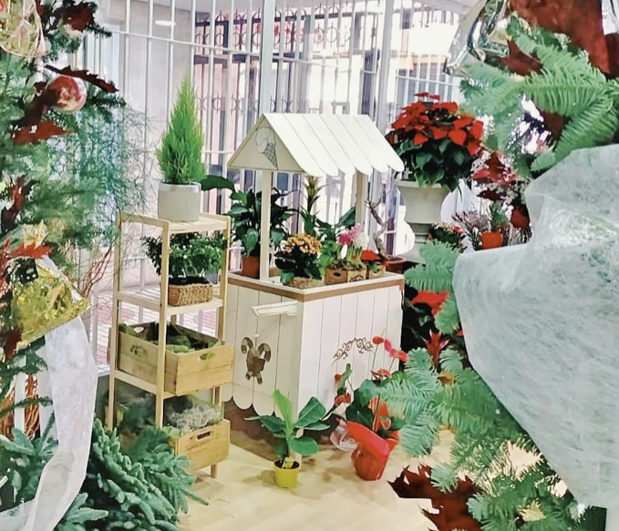 Florister&iacute;as 