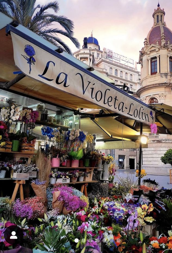 Florister&iacute;as