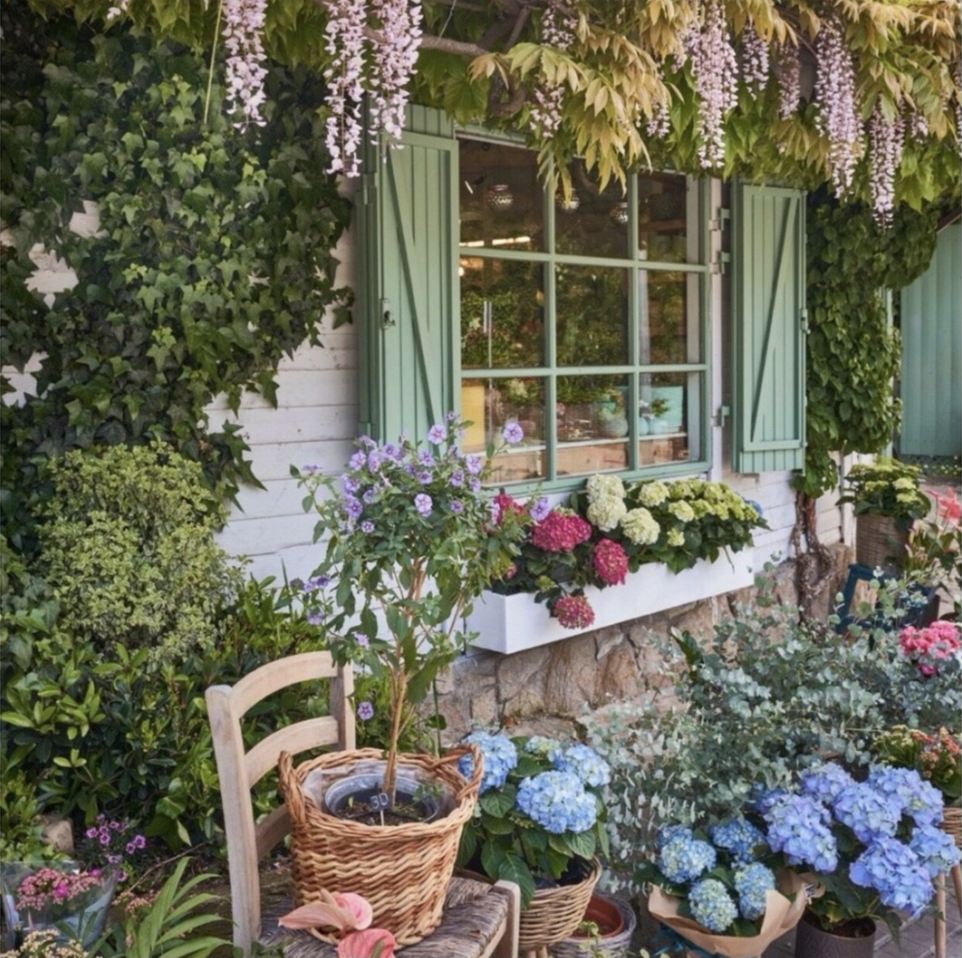 Florister&iacute;as