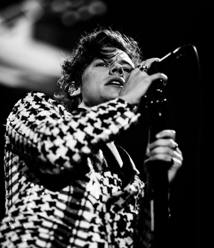 Harry Styles por Palomo Spain
