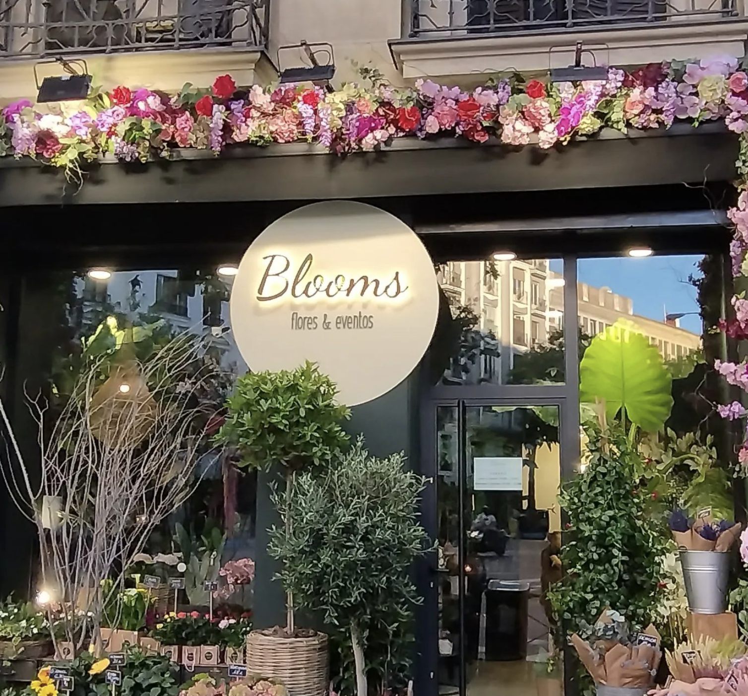 Flores Blooms