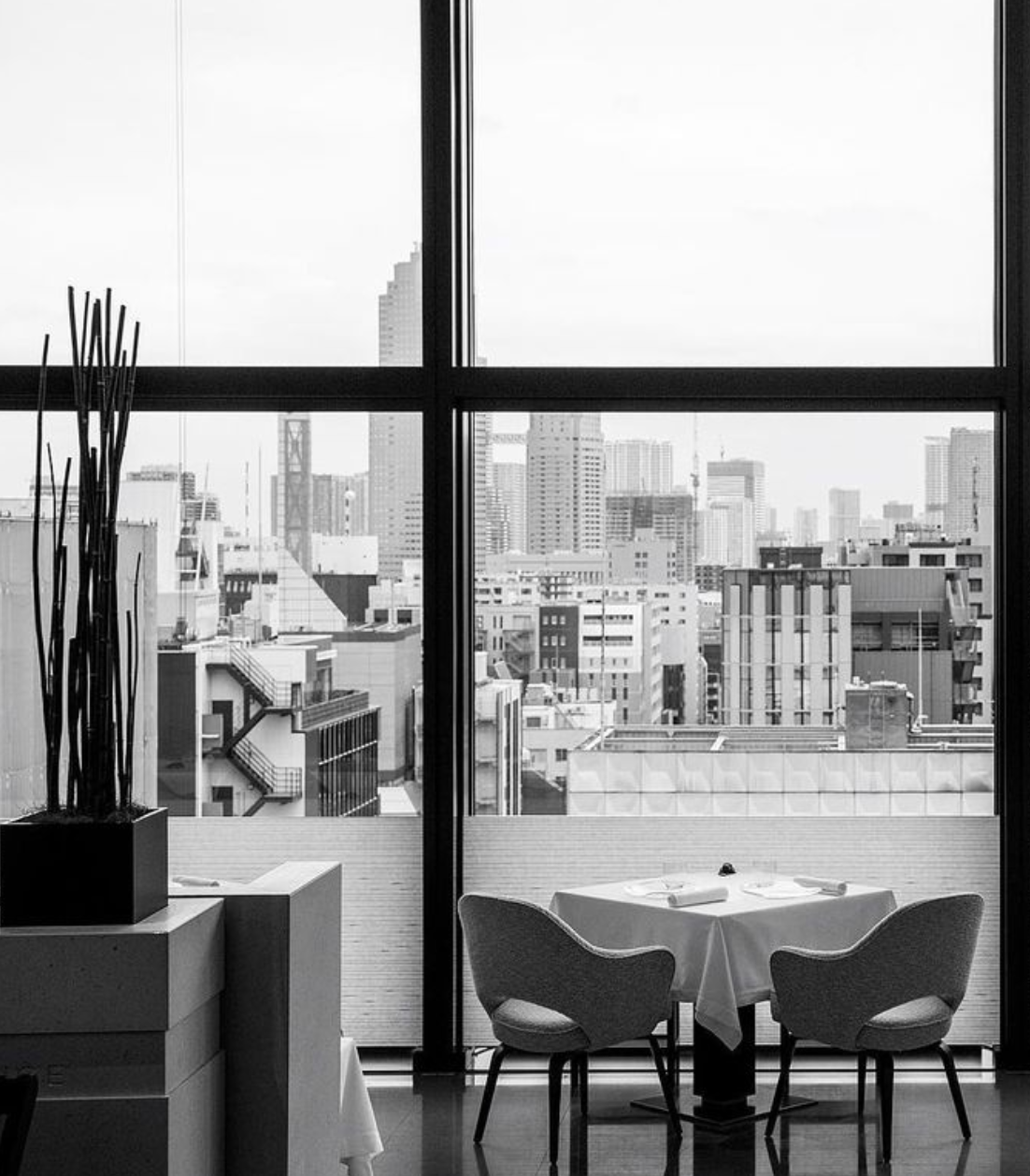 Restaurantes de moda