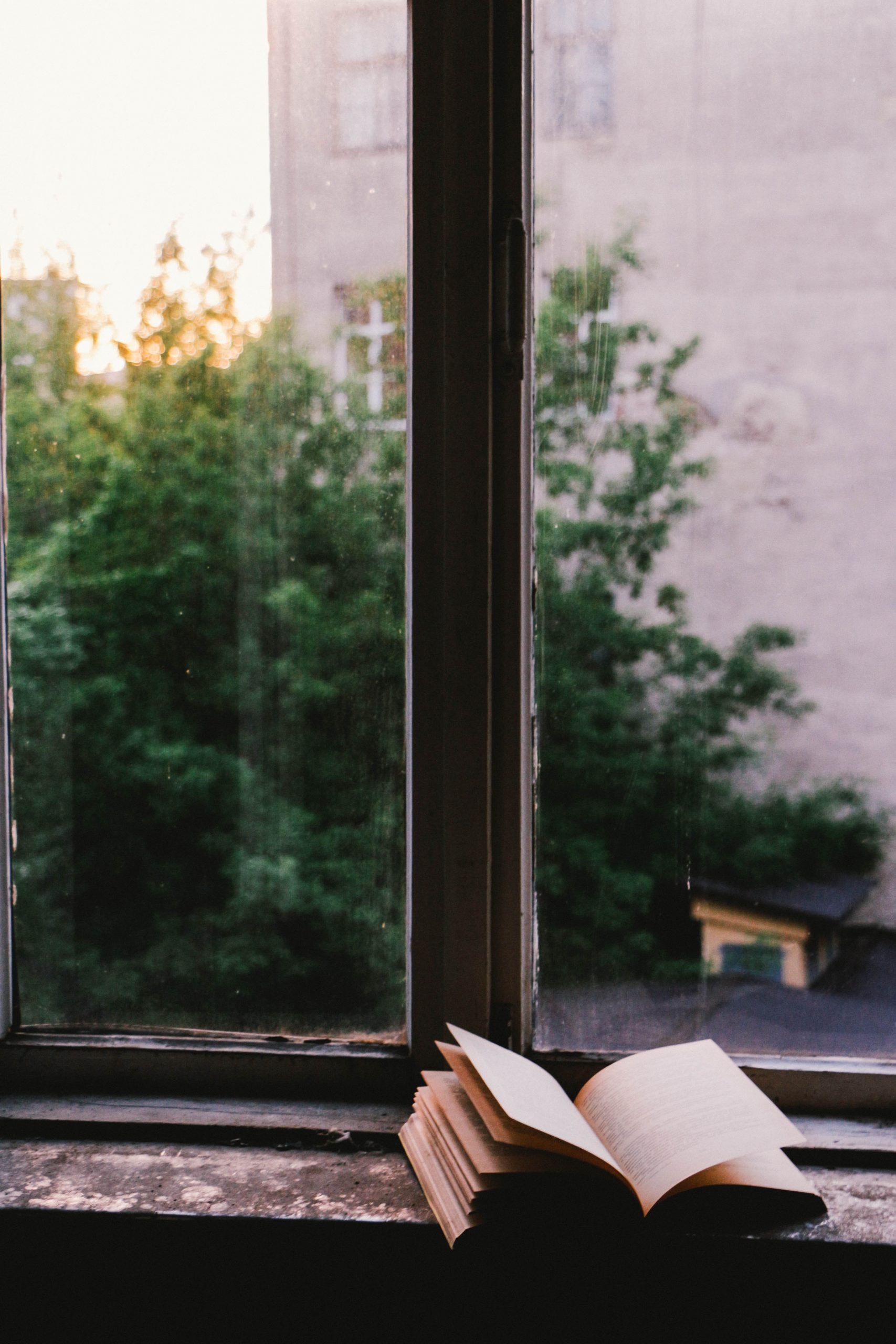 Leyendo en otoño