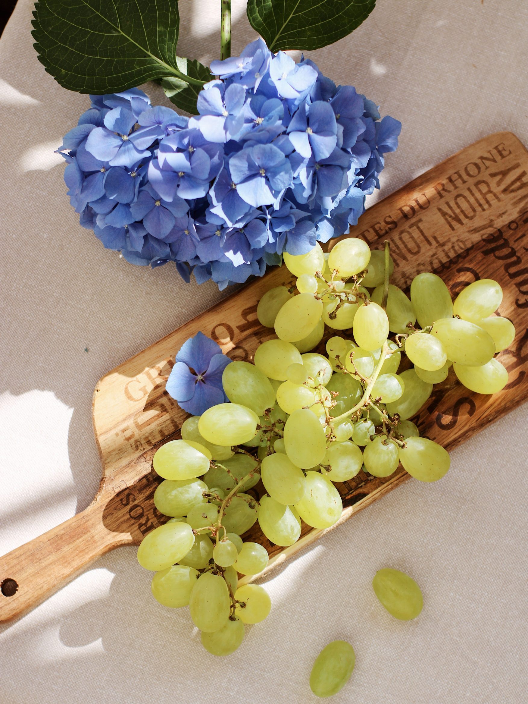 Uvas