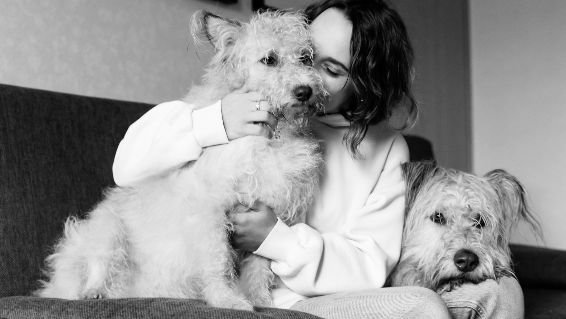 Mascotas para ser mejor personas