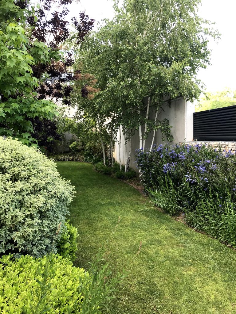 Vivienda en Aravaca