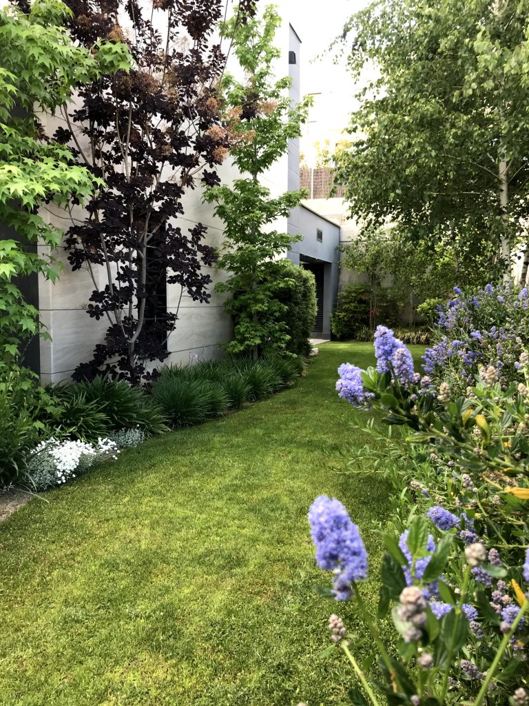 Paisajismo en una vivienda particular en Aravaca