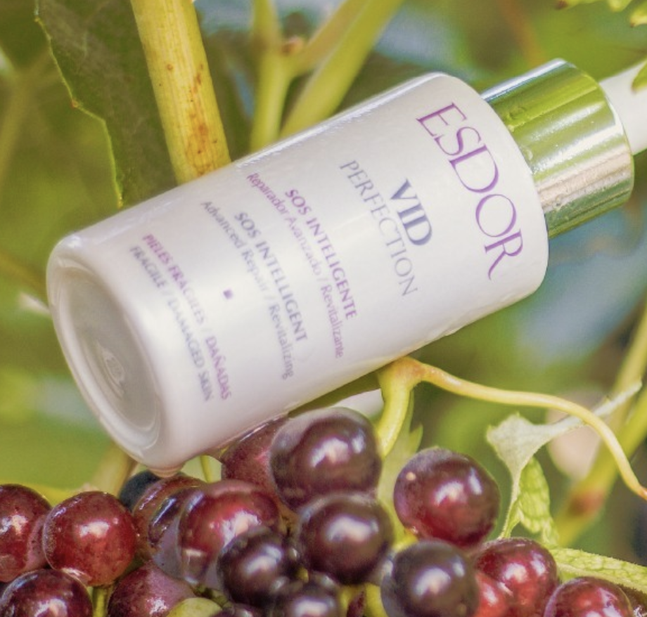 Vinoterapia