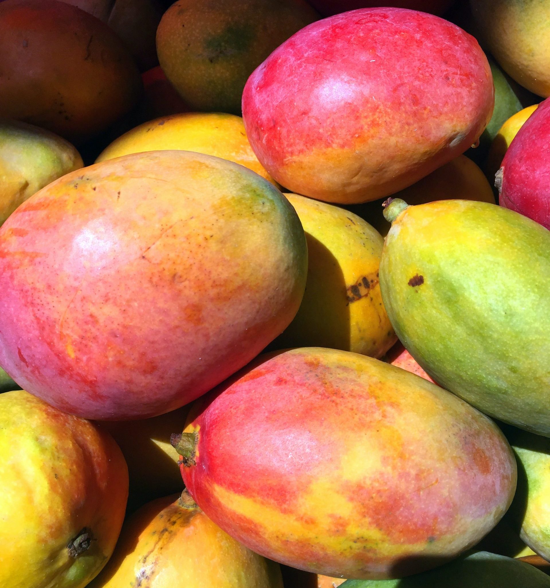 Mango