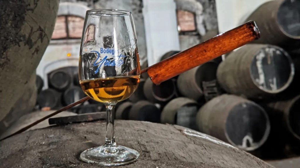 Foto: Bodegas Yuste