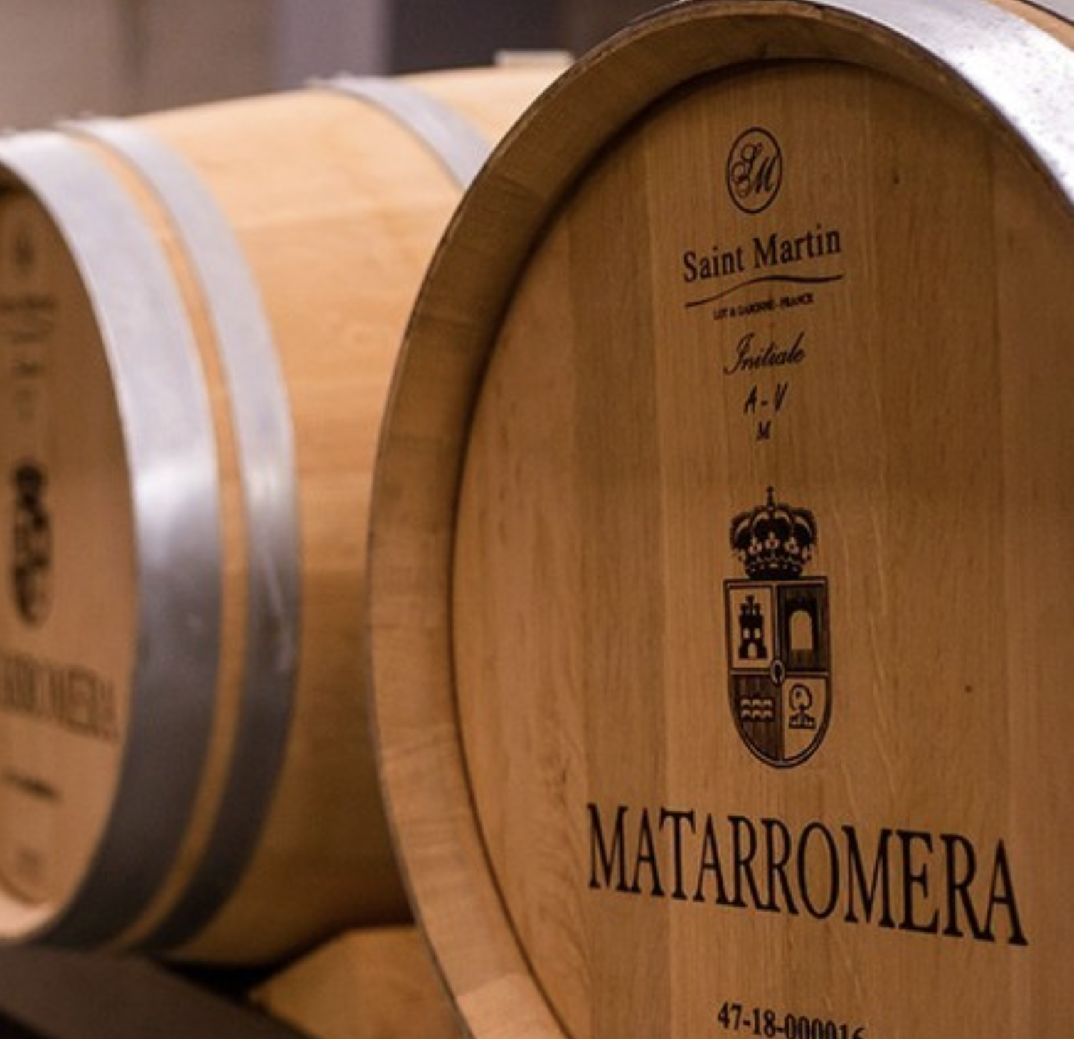 Bodega Vinoterapia