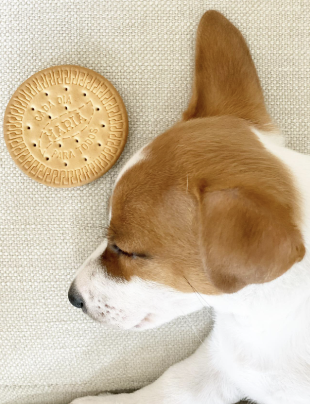 Foto.@elperroylagalletabakery