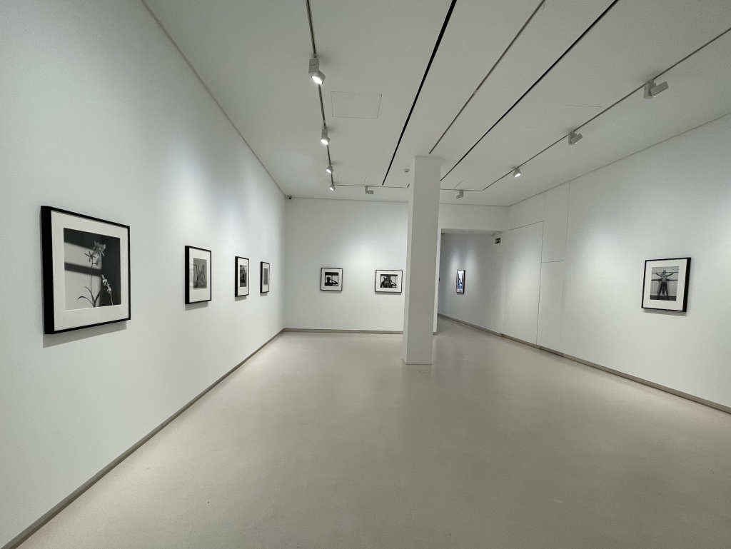 Foto: Galer&iacute;a Elvira Gonz&aacute;lez