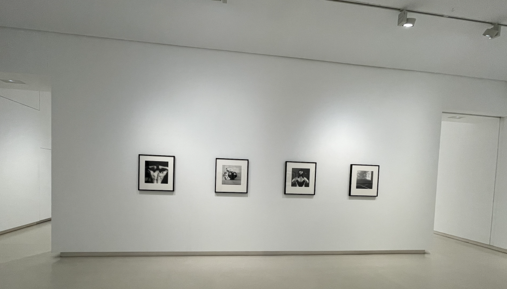 Foto: Galer&iacute;a Elvira Gonz&aacute;lez