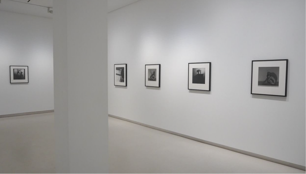 Foto: Galer&iacute;a Elvira Gonz&aacute;lez