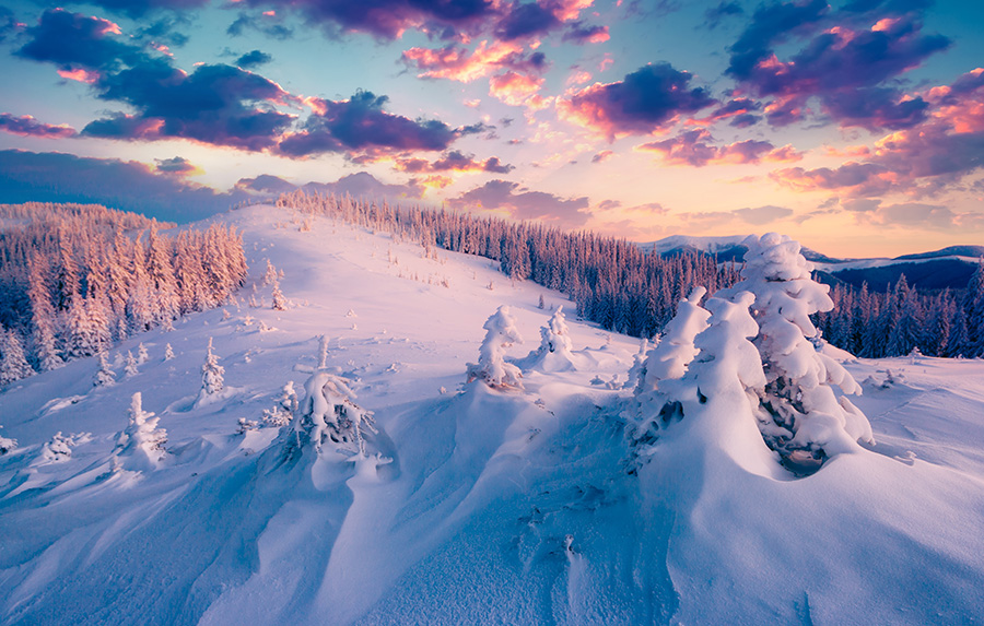 Heliesqu&iacute; Alaska