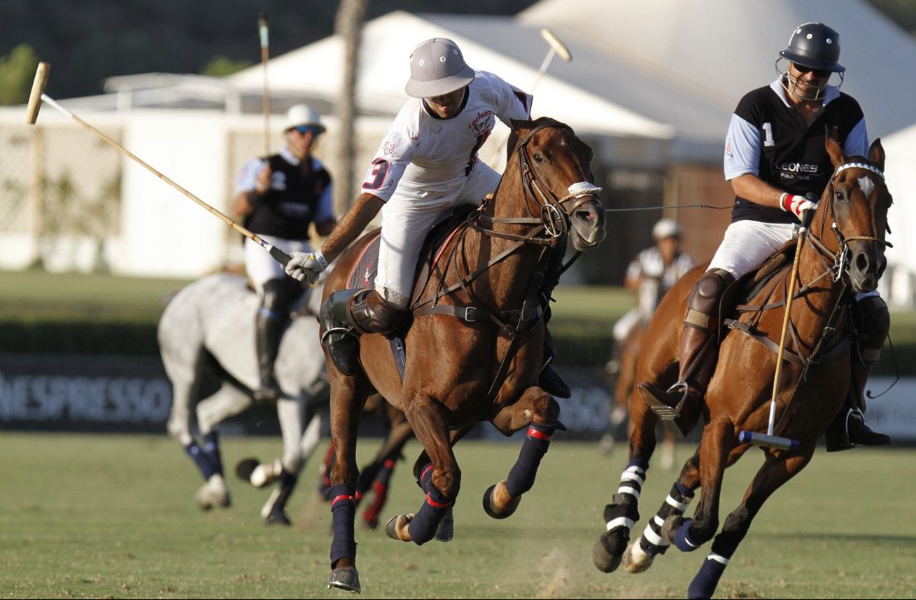 Polo