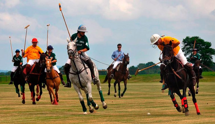 Polo
