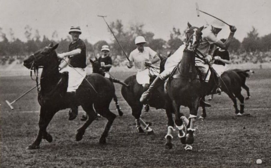 Polo