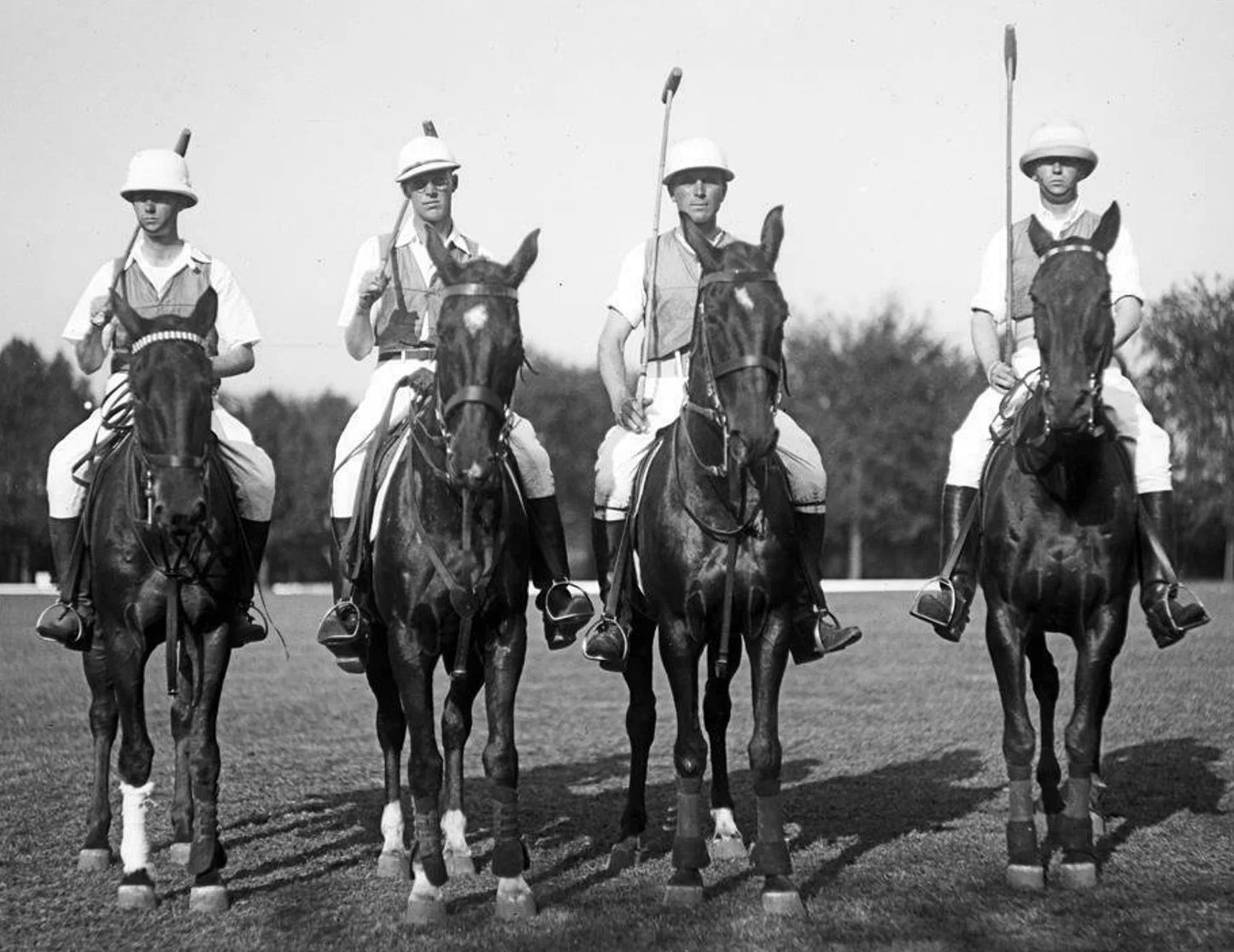 Polo