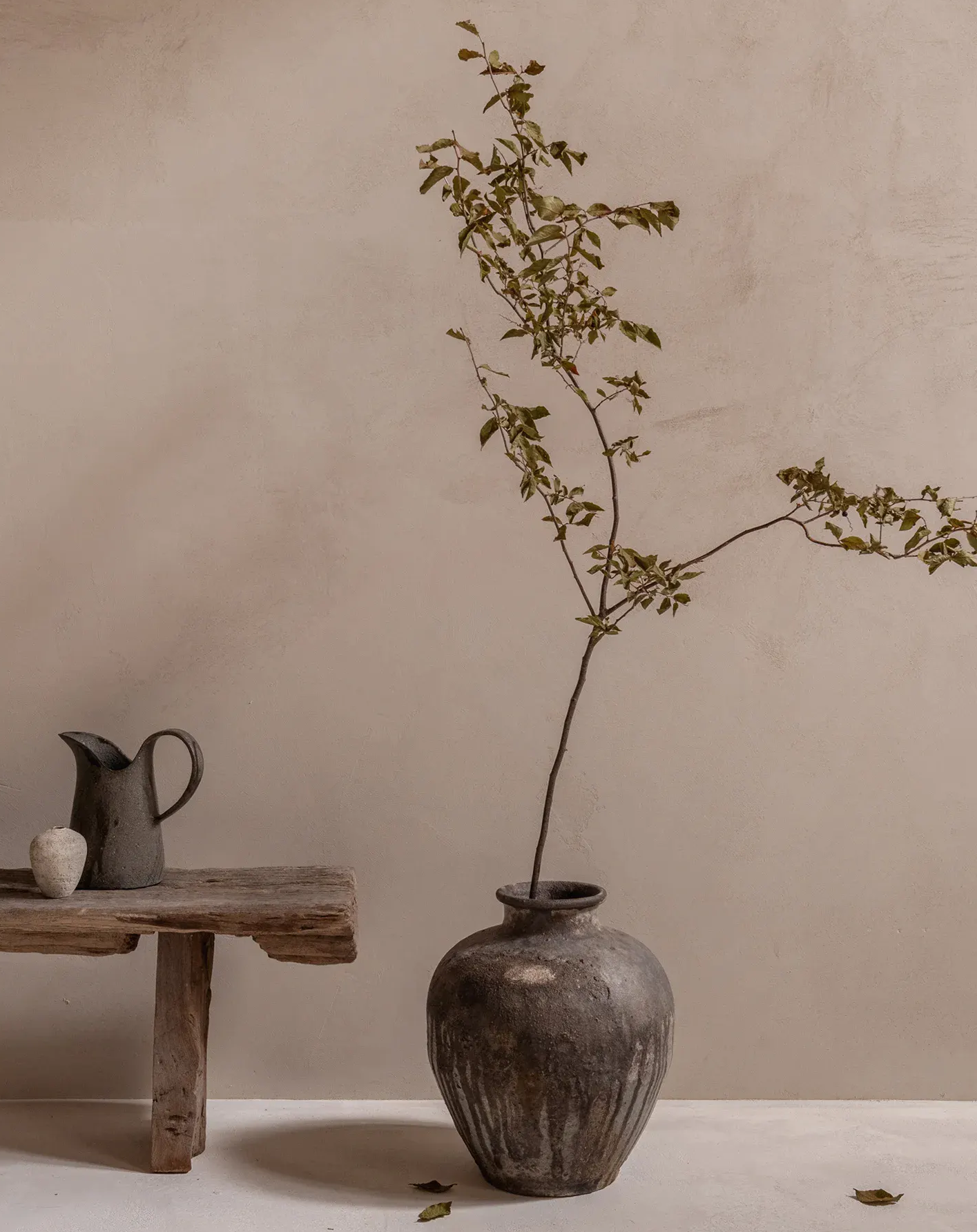 Decoraci&oacute;n