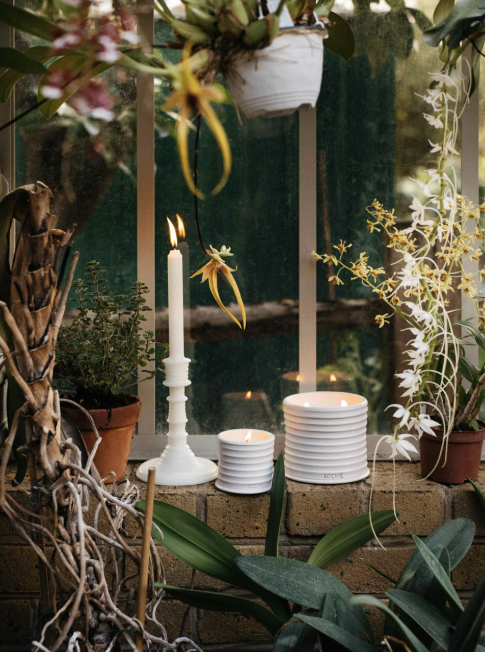 Velas de Loewe