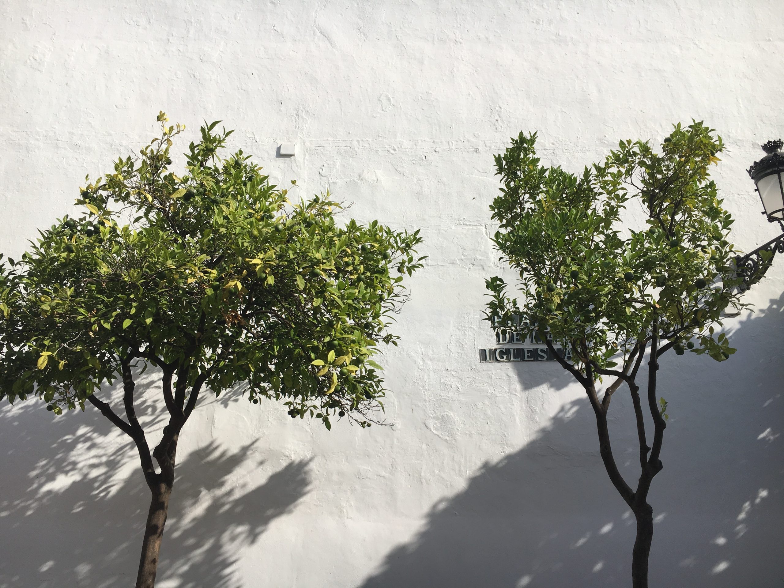 Marbella