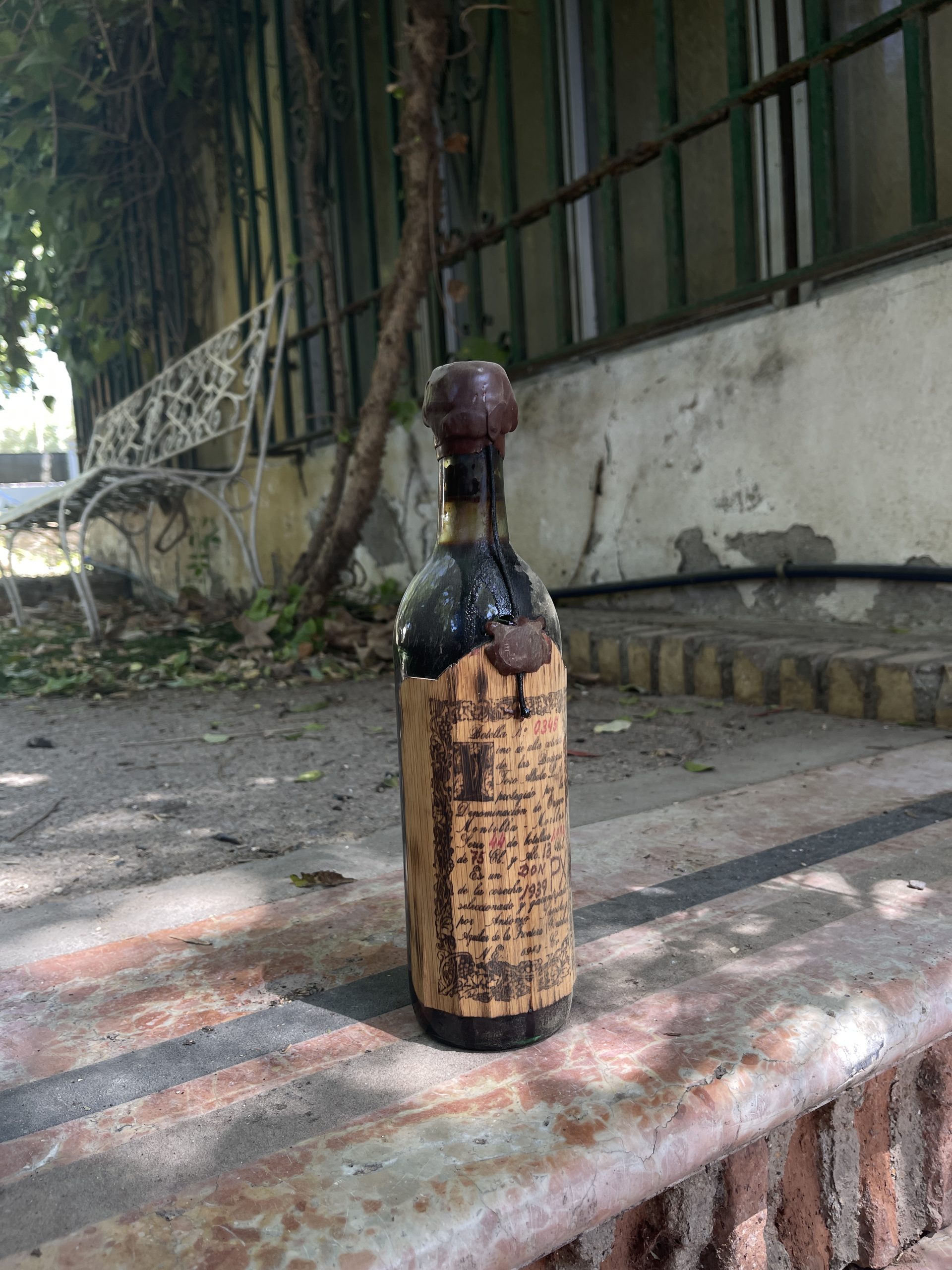 toro albal&aacute;