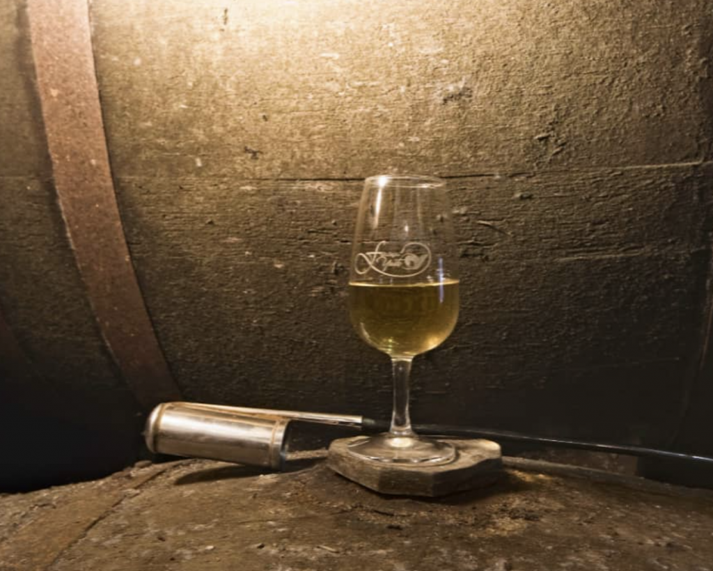 Foto: Bodegas Yuste