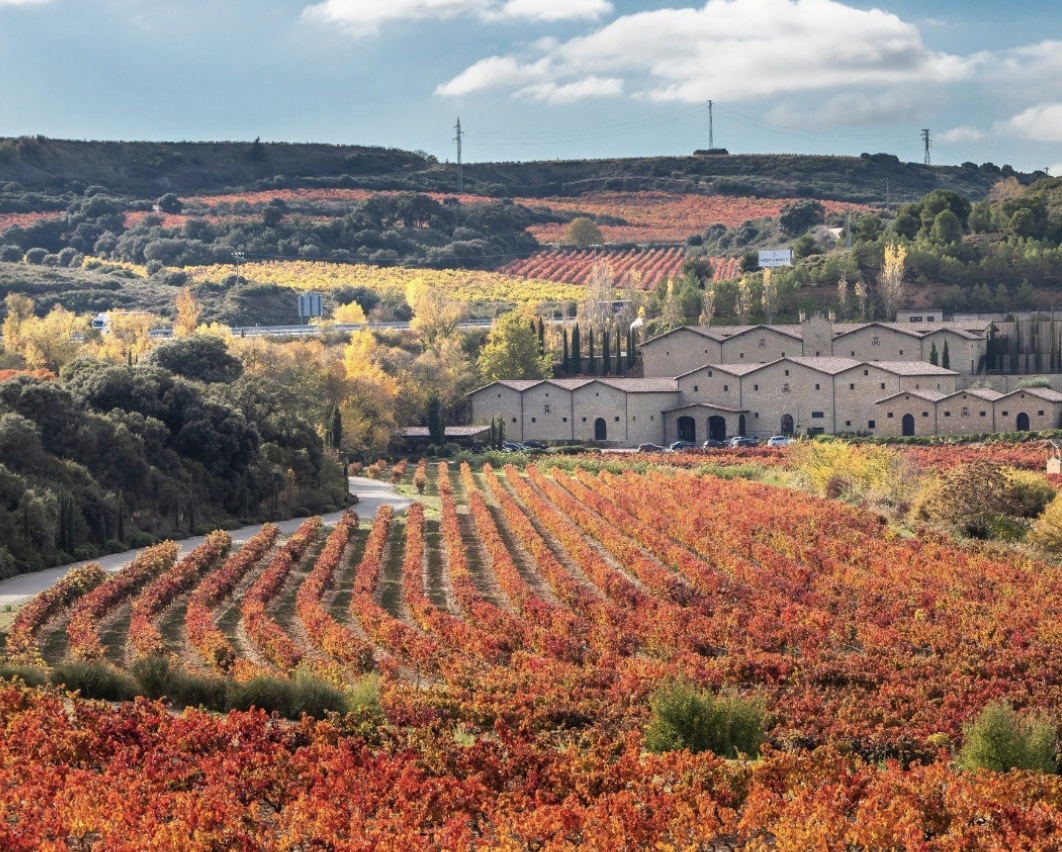 Vi&ntilde;edos Marqu&eacute;s de Murrieta