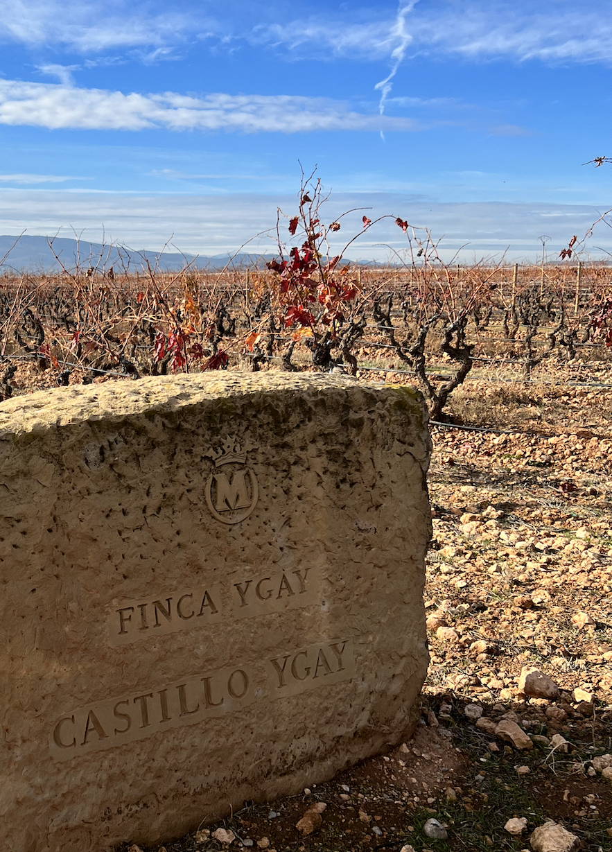 Finca Ygay