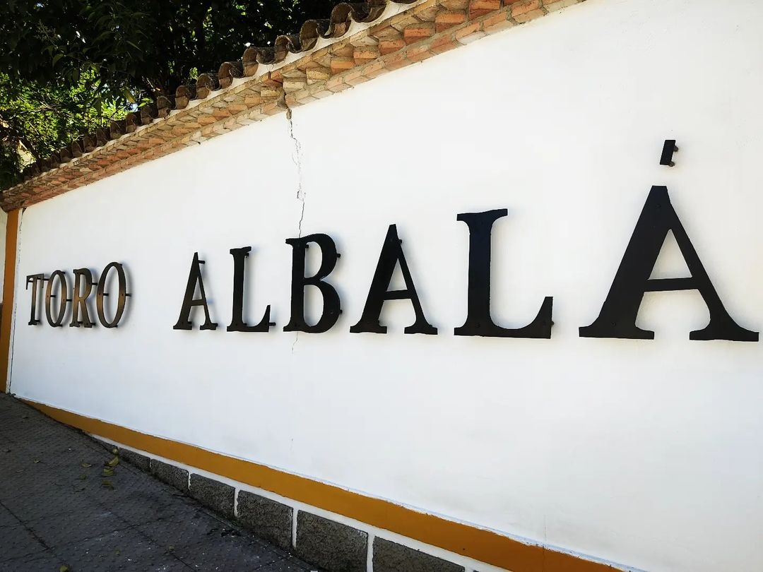 toro albal&aacute;
