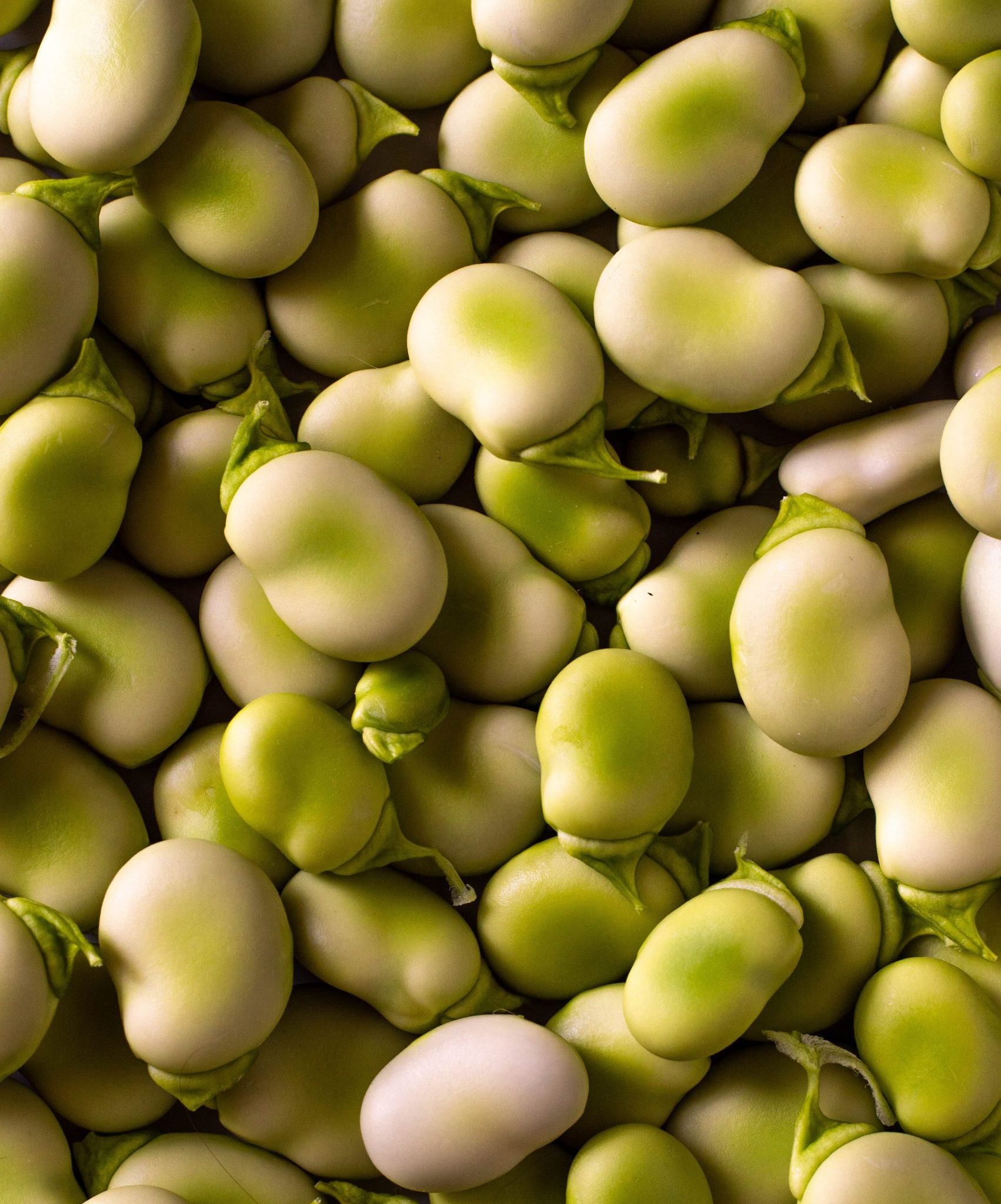 Alimentos amino&aacute;cidos